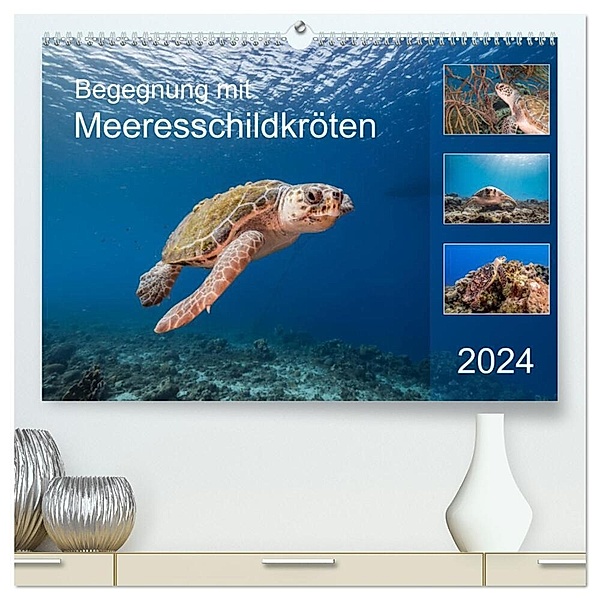 Begegnung mit Meeresschildkröten (hochwertiger Premium Wandkalender 2024 DIN A2 quer), Kunstdruck in Hochglanz, Yvonne & Tilo Kühnast - naturepics