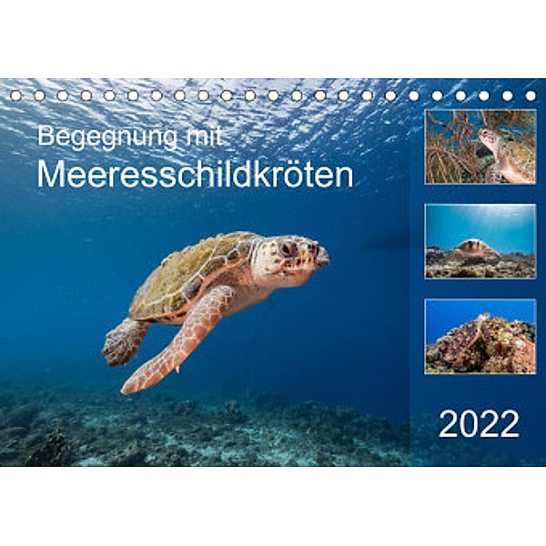 Begegnung mit Meeresschildkröten (Tischkalender 2022 DIN A5 quer), Yvonne & Tilo Kühnast - naturepics
