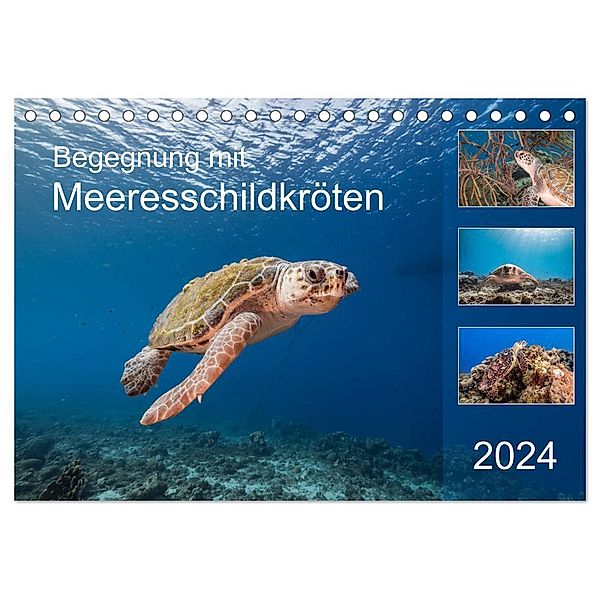 Begegnung mit Meeresschildkröten (Tischkalender 2024 DIN A5 quer), CALVENDO Monatskalender, Yvonne & Tilo Kühnast - naturepics