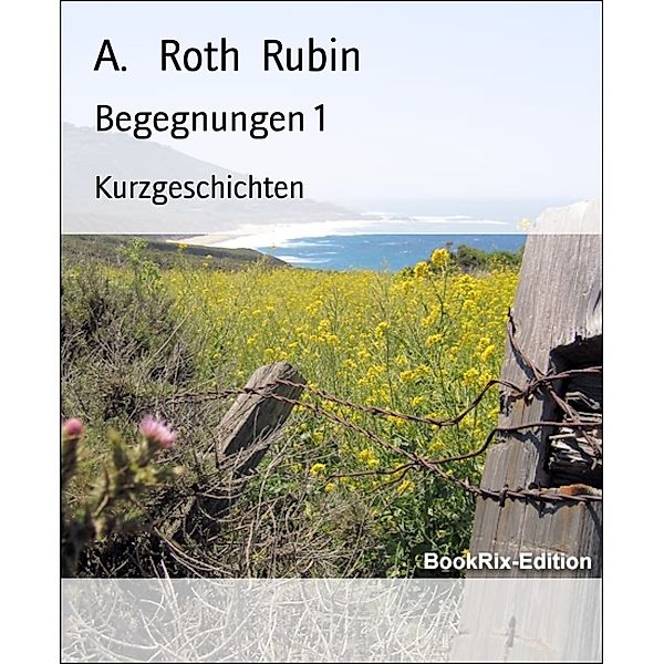 Begegnungen 1, A. Roth  Rubin