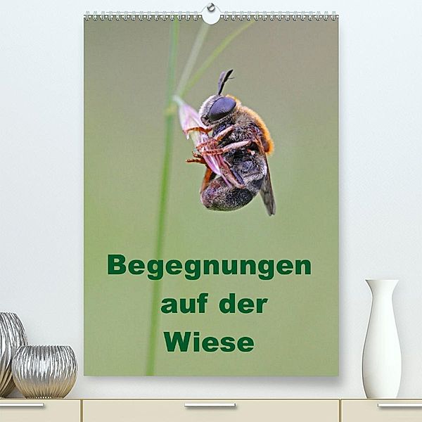 Begegnungen auf der Wiese (Premium, hochwertiger DIN A2 Wandkalender 2023, Kunstdruck in Hochglanz), Bernd Sprenger