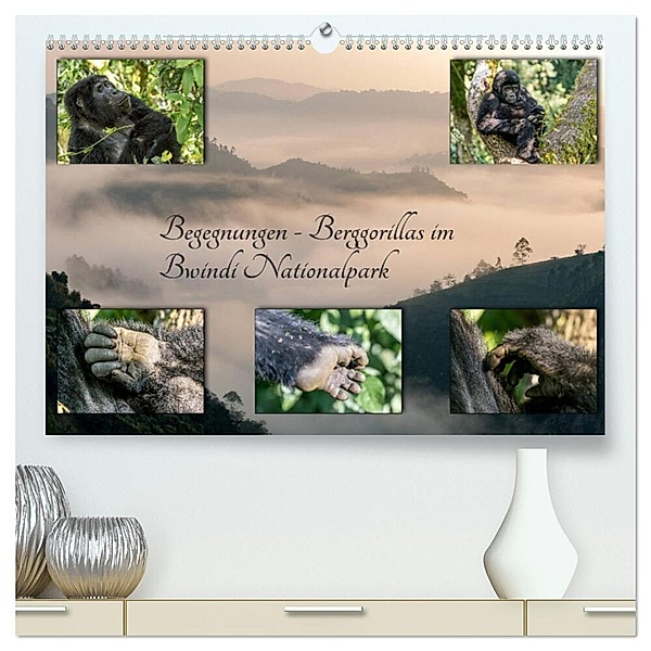 Begegnungen - Berggorillas im Bwindi Nationalpark (hochwertiger Premium Wandkalender 2024 DIN A2 quer), Kunstdruck in Hochglanz, Marisa Jorda-Motzkau