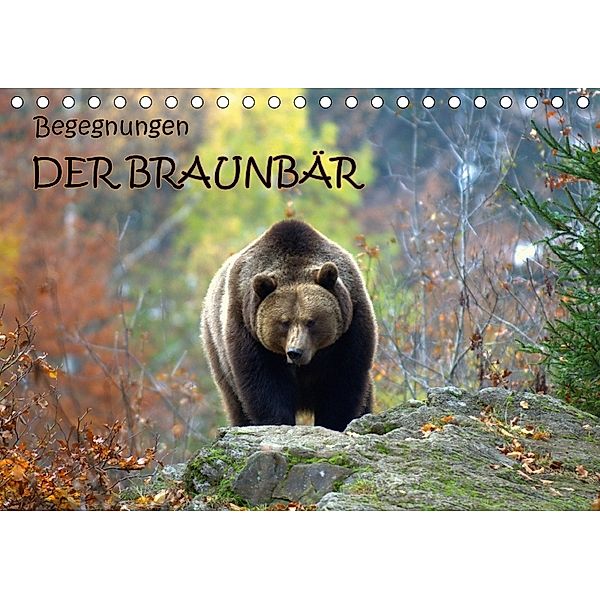 Begegnungen DER BRAUNBÄR (Tischkalender 2018 DIN A5 quer), GUGIGEI