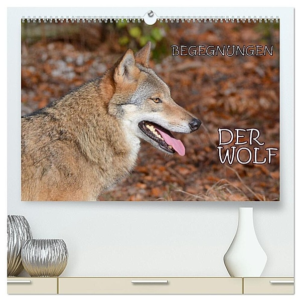 Begegnungen DER WOLF (hochwertiger Premium Wandkalender 2024 DIN A2 quer), Kunstdruck in Hochglanz, Gugigei