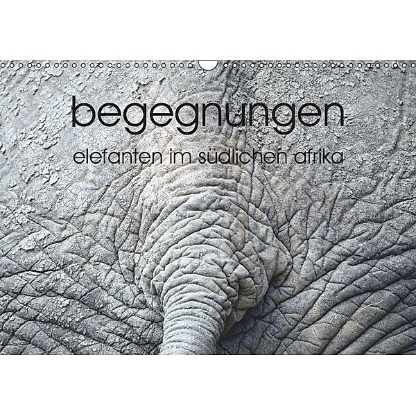 begegnungen - elefanten im südlichen afrika (Wandkalender 2019 DIN A3 quer), R. Siemer