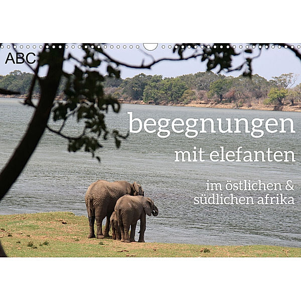begegnungen - elefanten im südlichen afrika (Wandkalender 2023 DIN A3 quer), rsiemer