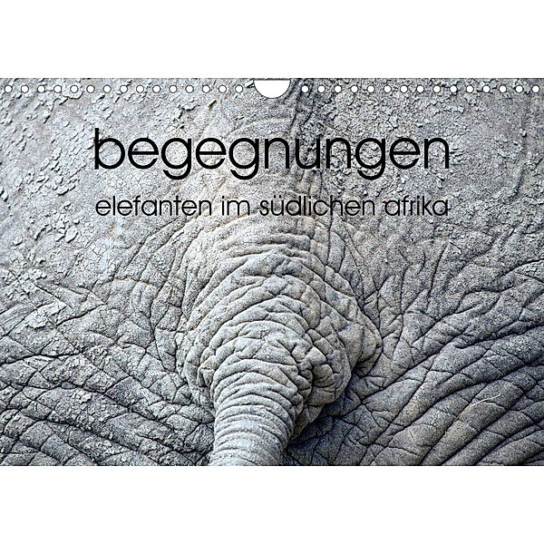 begegnungen - elefanten im südlichen afrika (Wandkalender 2023 DIN A4 quer), rsiemer