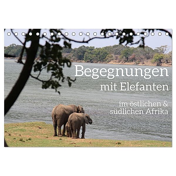 begegnungen - elefanten im südlichen afrika (Tischkalender 2024 DIN A5 quer), CALVENDO Monatskalender, rsiemer