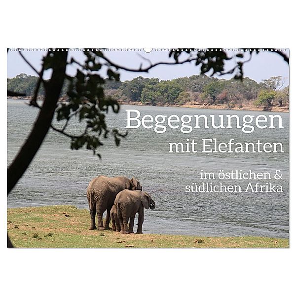 begegnungen - elefanten im südlichen afrika (Wandkalender 2024 DIN A2 quer), CALVENDO Monatskalender, rsiemer