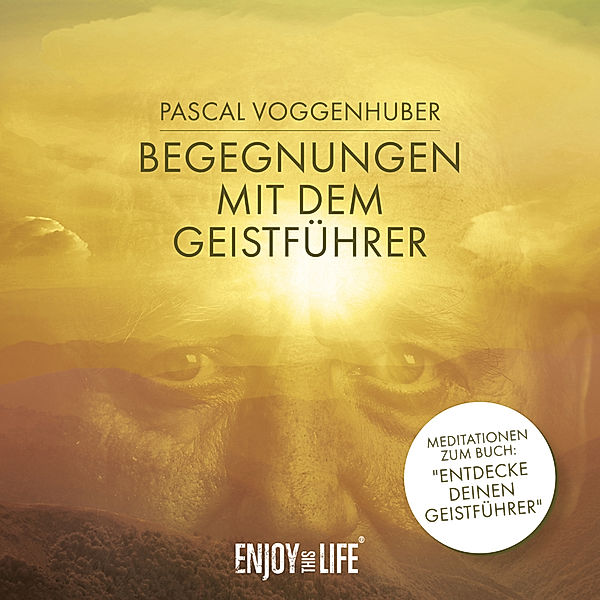 Begegnungen mit dem Geistführer,Audio-CD, Pascal Voggenhuber