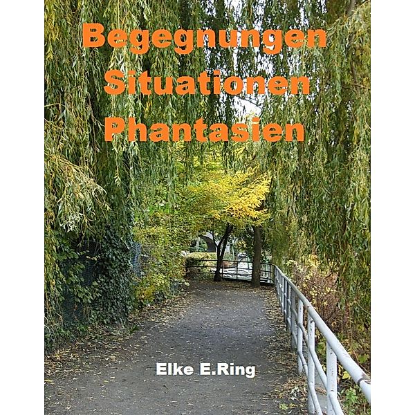 Begegnungen Situationen Phantasien, Elke E. Ring