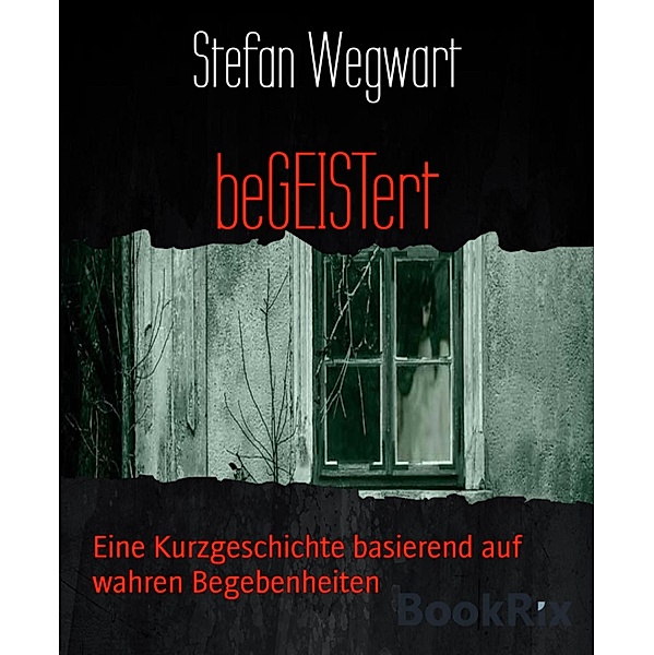 beGEISTert, Stefan Wegwart