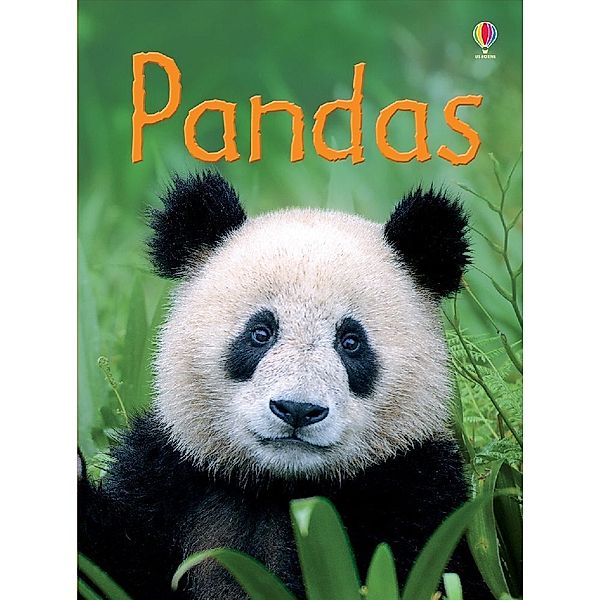 Beginners / Pandas, James Maclaine