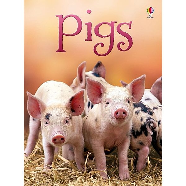 Beginners / Pigs, James Maclaine