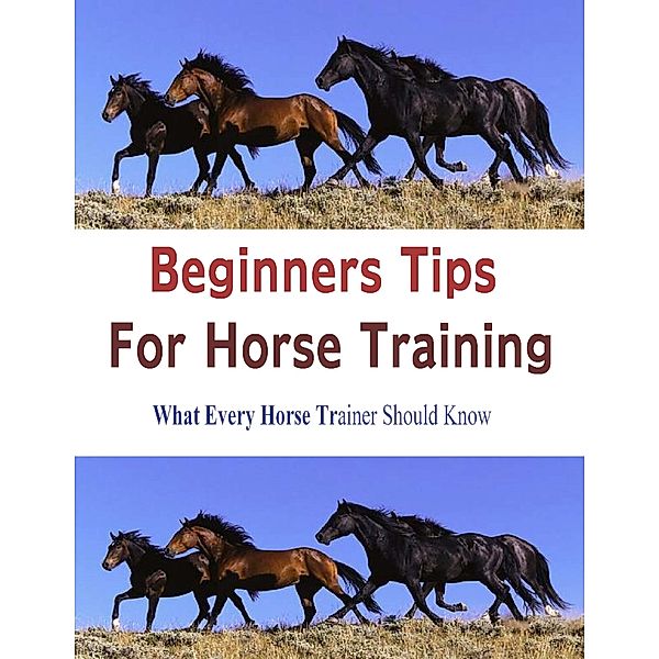 Beginners Tips for Horse Training: What Every Horse Trainer Should Know, Stacey Chillemi