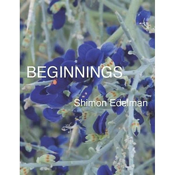 Beginnings, Shimon Edelman
