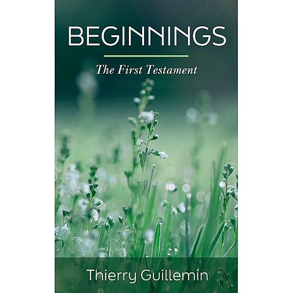 Beginnings, Thierry Guillemin