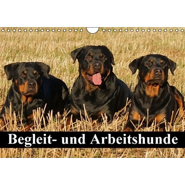 Begleit- und Arbeitshunde (Wandkalender 2016 DIN A4 quer), Elisabeth Stanzer