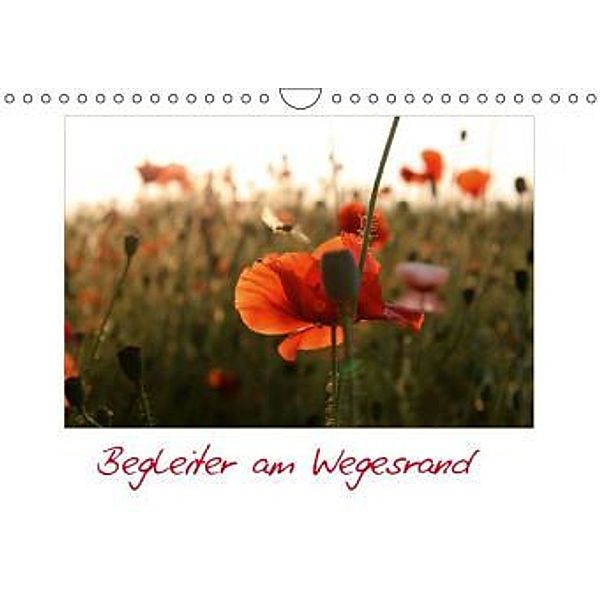 Begleiter am Wegesrand / Geburtstagskalender (Wandkalender 2015 DIN A4 quer), BilderWerkstatt Karina Baumgart