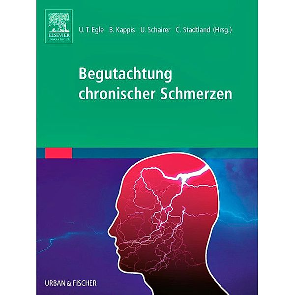 Begutachtung chronischer Schmerzen