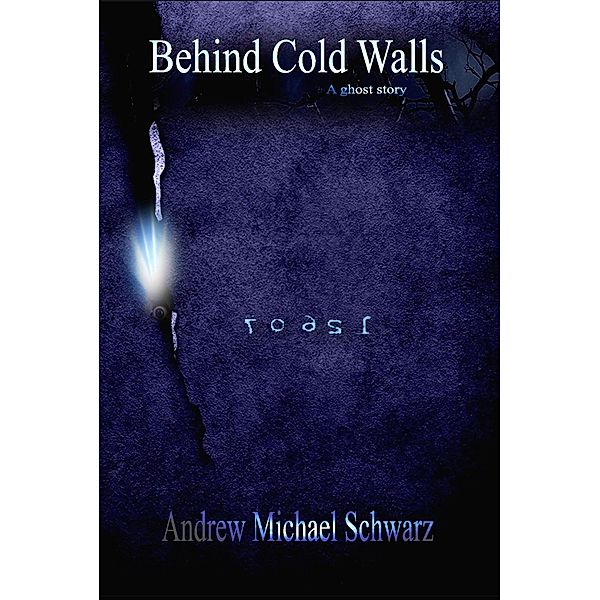 Behind Cold Walls, Andrew Michael Schwarz