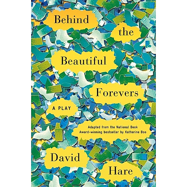 Behind the Beautiful Forevers, David Hare