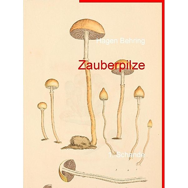 Behring, H: Zauberpilze