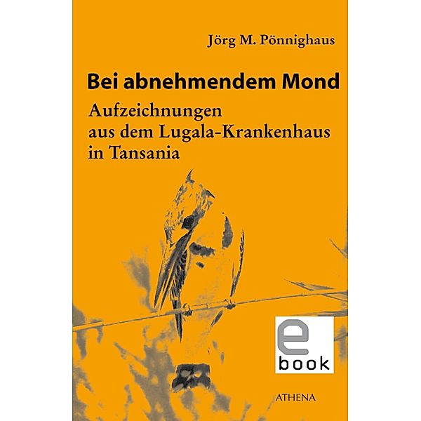 Bei abnehmendem Mond, Jörg M. Pönnighaus