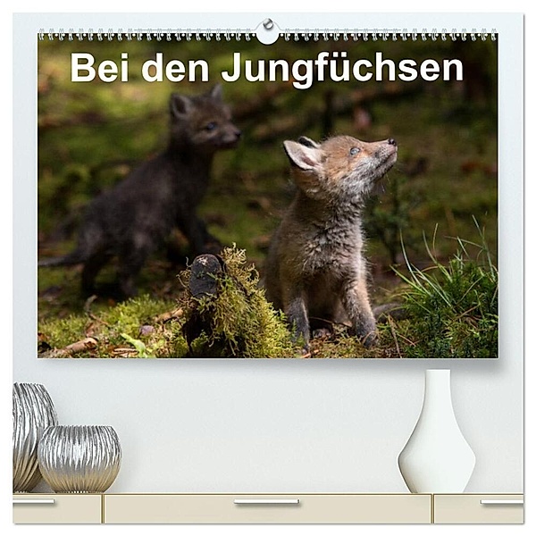 Bei den Jungfüchsen (hochwertiger Premium Wandkalender 2024 DIN A2 quer), Kunstdruck in Hochglanz, N. Wilhelm