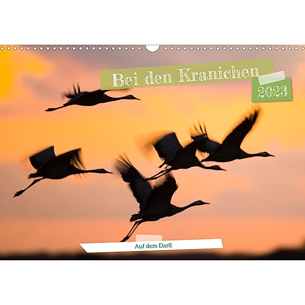 Bei den Kranichen (Wandkalender 2023 DIN A3 quer), Frederic Bauer
