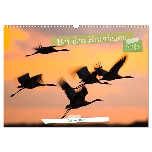 Bei den Kranichen (Wandkalender 2024 DIN A3 quer), CALVENDO Monatskalender, Frederic Bauer