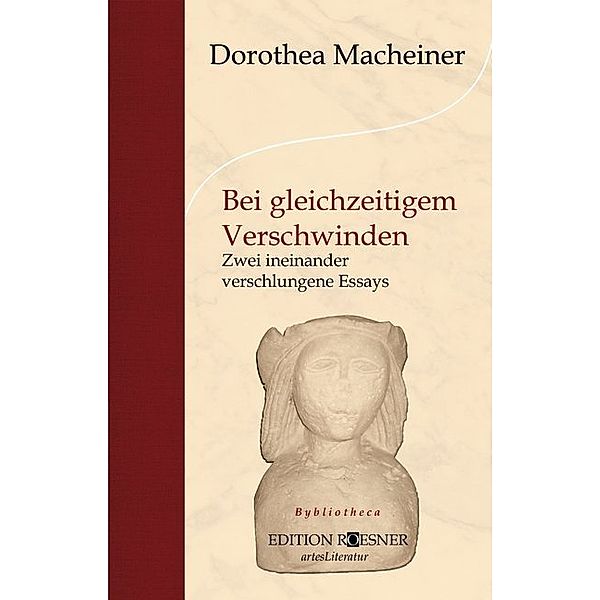 Bei gleichzeitigem Verschwinden, Dorothea Macheiner