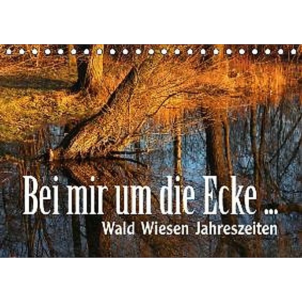 Bei mir um die Ecke ... (Tischkalender 2015 DIN A5 quer), Maria Reichenauer