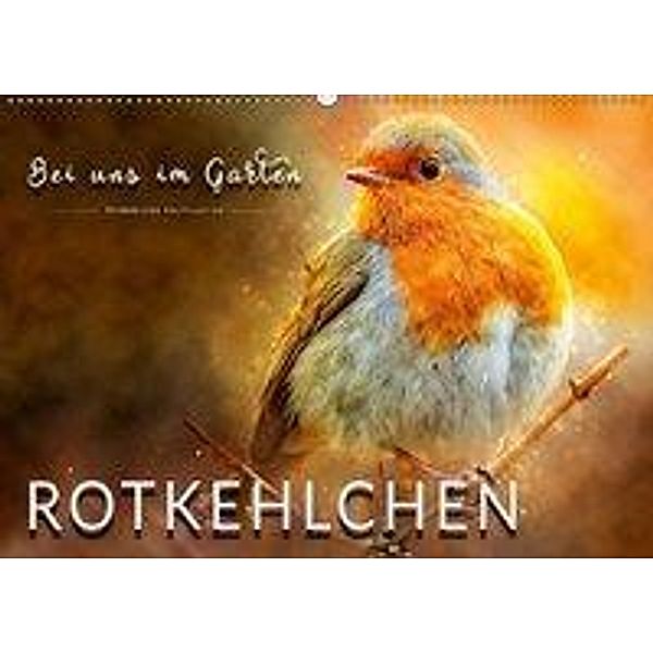 Bei uns im Garten - Rotkehlchen (Wandkalender 2019 DIN A2 quer), Peter Roder