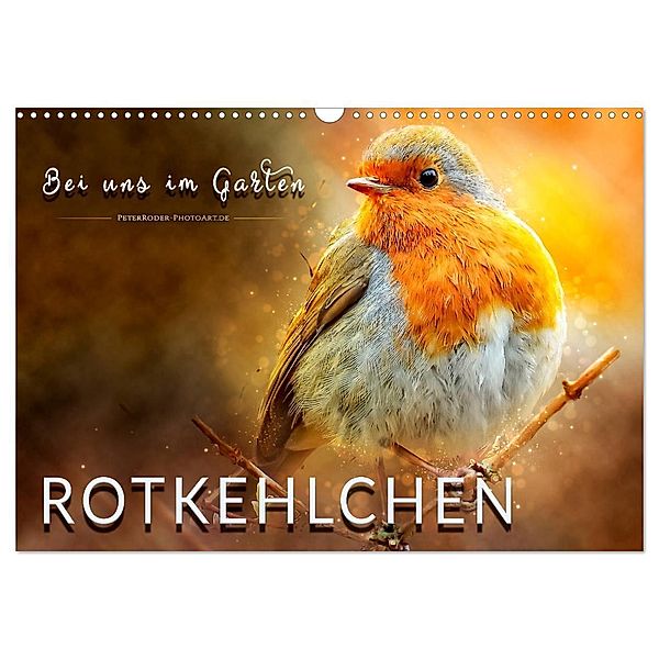 Bei uns im Garten - Rotkehlchen (Wandkalender 2024 DIN A3 quer), CALVENDO Monatskalender, Peter Roder