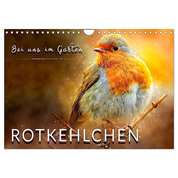 Bei uns im Garten - Rotkehlchen (Wandkalender 2024 DIN A4 quer), CALVENDO Monatskalender, Peter Roder