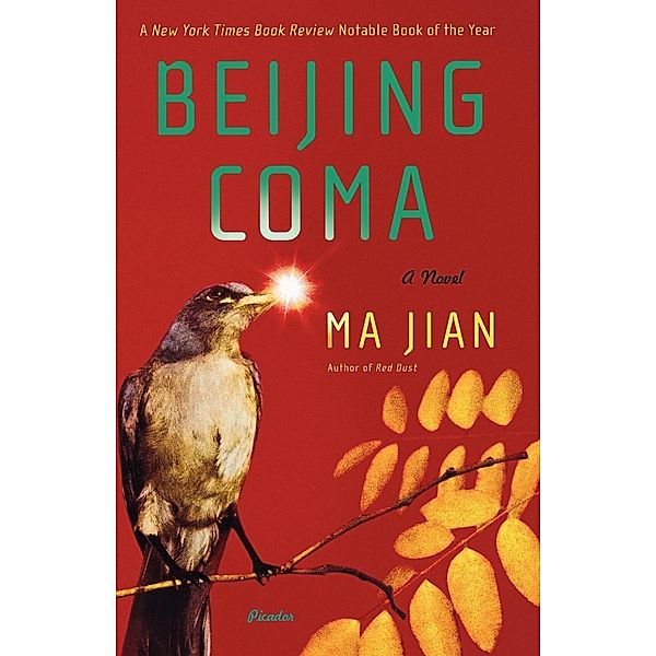 Beijing Coma, Ma Jian