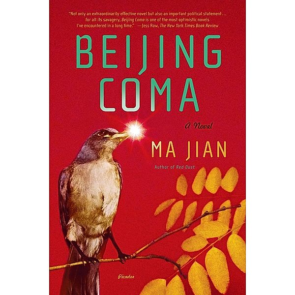 Beijing Coma, Ma Jian