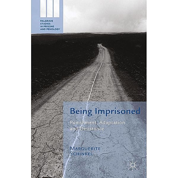 Being Imprisoned / Palgrave Studies in Prisons and Penology, M. Schinkel