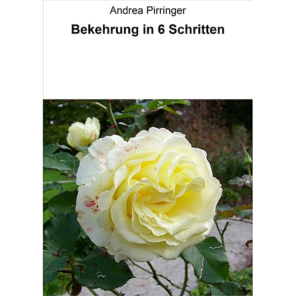 Bekehrung in 6 Schritten, Andrea Pirringer