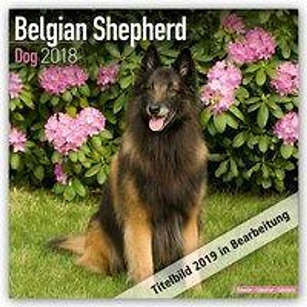 Belgian Shepherd Dog - Belgischer Schäferhund 2019
