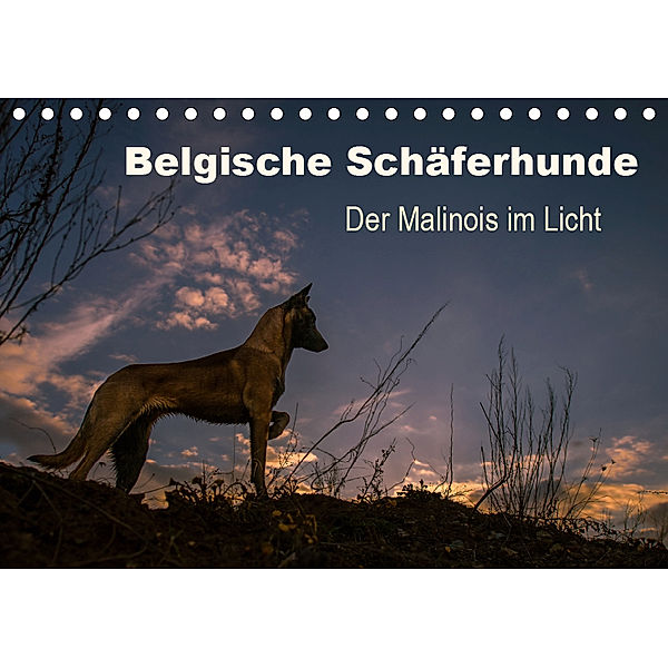 Belgische Schäferhunde - Der Malinois im Licht (Tischkalender 2019 DIN A5 quer), Tanja Brandt