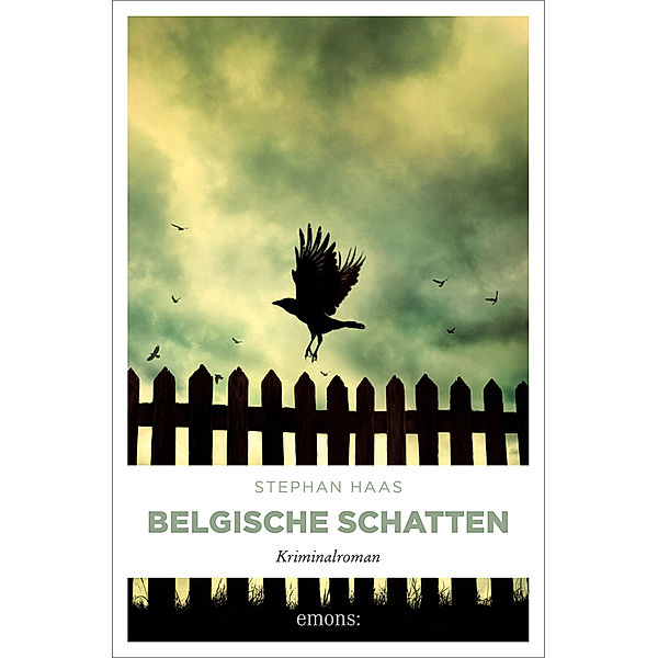 Belgische Schatten, Stephan Haas