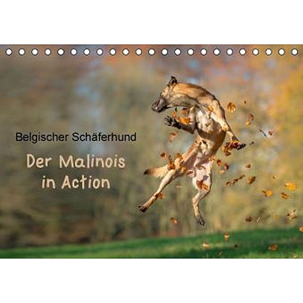 Belgischer Schäferhund - Der Malinois in Action (Tischkalender 2015 DIN A5 quer), Tanja Brandt