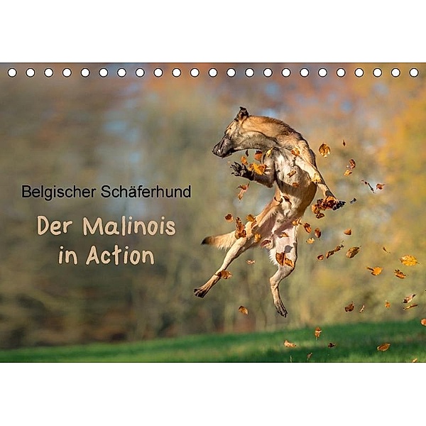 Belgischer Schäferhund - Der Malinois in Action (Tischkalender 2017 DIN A5 quer), Tanja Brandt