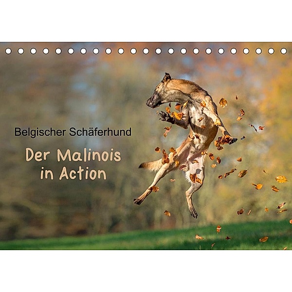 Belgischer Schäferhund - Der Malinois in Action (Tischkalender 2023 DIN A5 quer), Tanja Brandt