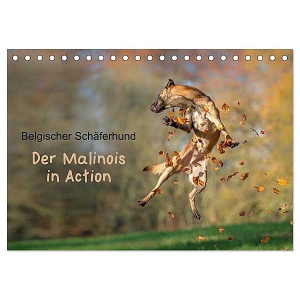 Belgischer Schäferhund - Der Malinois in Action (Tischkalender 2024 DIN A5 quer), CALVENDO Monatskalender, Tanja Brandt