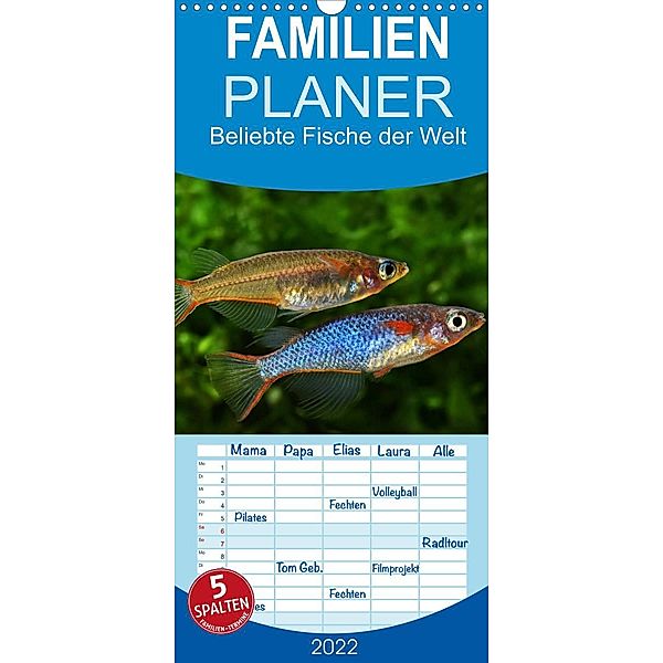 Beliebte Fische der Welt - Familienplaner hoch (Wandkalender 2022 , 21 cm x 45 cm, hoch), Rudolf Pohlmann