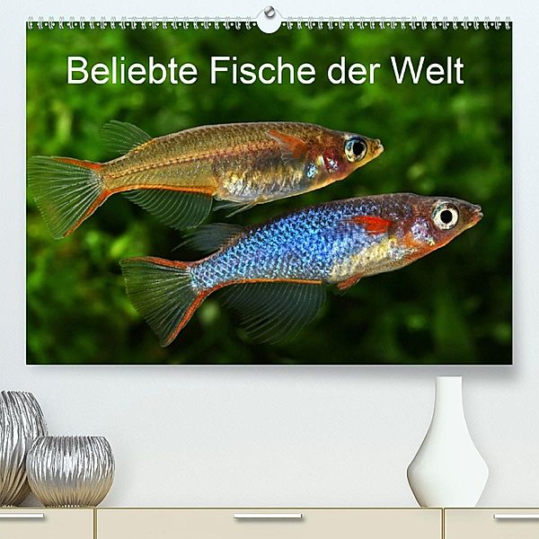 Beliebte Fische der Welt (Premium-Kalender 2020 DIN A2 quer), Rudolf Pohlmann