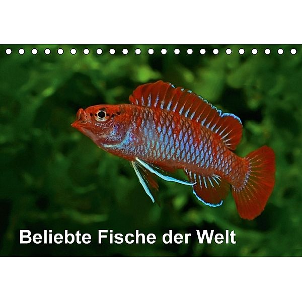 Beliebte Fische der Welt (Tischkalender 2018 DIN A5 quer), Rudolf Pohlmann